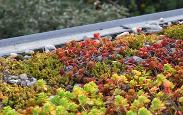 the cost of Little Minster green roof installation