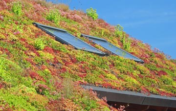 Little Minster living roof systems