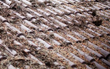 Little Minster roof cleaning companies